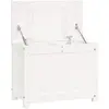 vidaXL Boîte de rangement Blanc 60x32x45,5 cm Bois massif de pin