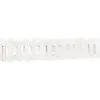 vidaXL Lit surélevé de jardin design de clôture 150x30x30cm pin massif