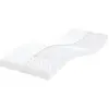 vidaXL Matelas en mousse 2 pcs blanc 100x200 cm 7 zones dureté 20 ILD