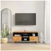 vidaXL Meuble TV marron et noir 100x33,5x46 cm bois massif de manguier