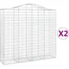vidaXL Paniers à gabions arqués 2 pcs 200x50x180/200 cm Fer galvanisé