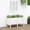 vidaXL Lit surélevé de jardin blanc 121x50x57 cm bois de pin massif