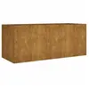 vidaXL Lit surélevé de jardin 200x80x80 cm acier corten