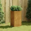 vidaXL Jardinière 40x40x80 cm acier corten