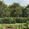 vidaXL Clôture à mailles losangées avec ancrage anthracite 1,8x25 m