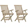 vidaXL Chaises de jardin pliantes 2pcs gris 56x61x89cm bois de teck