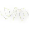 GENERIQUE Guirlande Solaire 100 LEDs - 9,9m - Blanc Chaud - Câble 3m - Lumineo