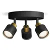 Philips, Applique + plafonnier, Niall (GU10)