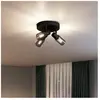 Philips, Applique + plafonnier, Palms (E14)