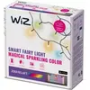 WiZ Fairy Lights Color 20m - outdoor lichtslinger - Zwart