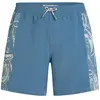 O´neill Short De Bain O´riginals Side Panel 16´´