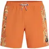 O´neill Short De Bain O´riginals Side Panel 16´´