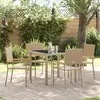 vidaXL Ensemble Salle à Manger Jardin 5 Pièces Beige Poly Rattan