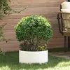 vidaXL Anneau de jardinière 5 pcs Blanc 40 x 40 x 20 cm
