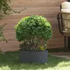 vidaXL Anneau de jardinière Anthracite 40 x 40 x 20 cm