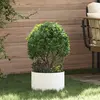 vidaXL Anneau de jardinière Blanc 30 x 30 x 20 cm Acier laminé à froid