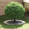 vidaXL Vidaxl Jardinières Blanches Blanches Plastique Grand Pliable