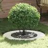 vidaXL adapté pour anneaux d'arbre plats 5 pcs Blanc Ø50 / 80 cm Acier