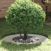 vidaXL adapté pour anneau d'arbre plat Argent Ø40 / 70 cm