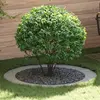 vidaXL vidaXL Jardinier galvanisé Galvanisé Acier galvanisé Grand