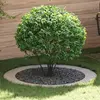 vidaXL adapté pour anneaux d'arbre plats 5 pcs Argent Ø90 / 120 cm