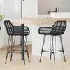 vidaXL Vidaxl Chaise De Bar 2 Pcs Noir 55 X 52 X 92 Cm Rotin Et Métal