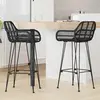 vidaXL Chaise de bar 2 pcs Noir 55 x 52 x 92 cm Rotin et métal