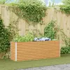 vidaXL Jardinière surélevée 195 x 50 x 68 cm Acier galvanisé