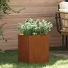 vidaXL Vidaxl Cache-Pot De Jardin Rouillé 50 X 32 X 40 Cm Acier Corten
