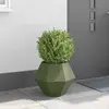 vidaXL Vidaxl Jardinière Vert Olive 50 X 50 X 40 Cm Acier