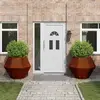 vidaXL Vidaxl Jardinière 2 Pcs Rouillé 100 X 100 X 80 Cm