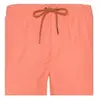 Protest Short De Bain Faster