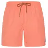 Protest Short De Bain Faster