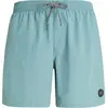 Protest Short De Bain Speed