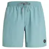 Protest Short De Bain Speed