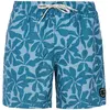 Protest Short De Bain Baza