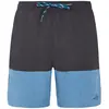 Protest Short De Bain Freddie