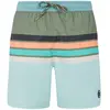 Protest Short De Bain Avik