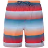 Protest Short De Bain Radar