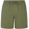 Protest Short De Bain Wytona