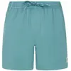 Protest Short De Bain Wytona