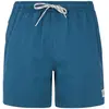 Protest Short De Bain Wytona