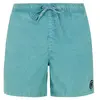 Protest Short De Bain Raptor