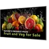 Philips 55BDL5050D - Classe de diagonale 55" (54.6" visualisable) - 50...