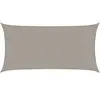 vidaXL Voile d'ombrage 160 g/m² rectangulaire gris clair 3x6 m PEHD