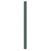 vidaXL Membrane anti-mauvaises herbes vert 2x50 m PP