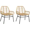 vidaXL Chaises de jardin lot de 2 marron résine tressée