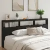 vidaXL Armoire tête de lit avec LED noir 220x17x102 cm