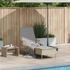 vidaXL Transat Beige et Gris clair 55 x 200 x 92 cm polyrotin