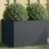 vidaXL Jardinière anthracite 62x47x46 cm acier laminé à froid